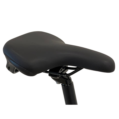 Image of Flebi Swan 20", 36V, 10.4Ah, 250W, Bicicleta Eléctrica Urbana Plegable