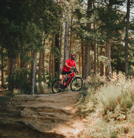 Image of Urbanbiker Dakota Plus (Motor Central), 48V, 17,5Ah, 250W, 90Nm Bicicleta Eléctrica de Montaña