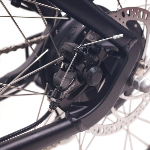 Image of Ncm M3 (Nueva Moscow) 48V Das-Kit 250W Bicicleta Eléctrica de Montaña