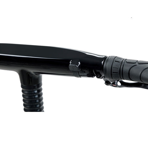 Image of Gocycle G4i 250W (CON REGALO) 300Wh Bicicleta Eléctrica Plegable Urbana