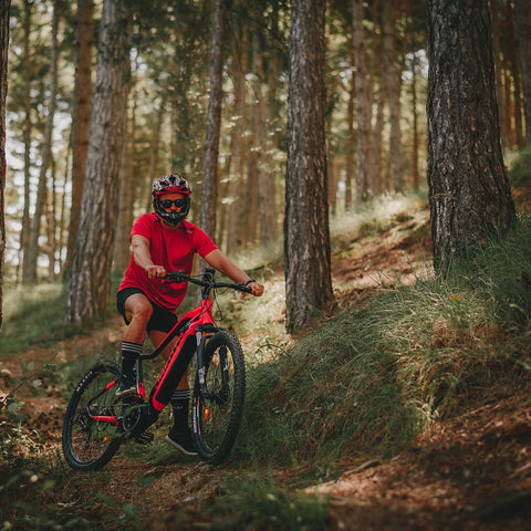 Image of Urbanbiker Dakota Plus (Motor Central), 48V, 17,5Ah, 250W, 90Nm Bicicleta Eléctrica de Montaña