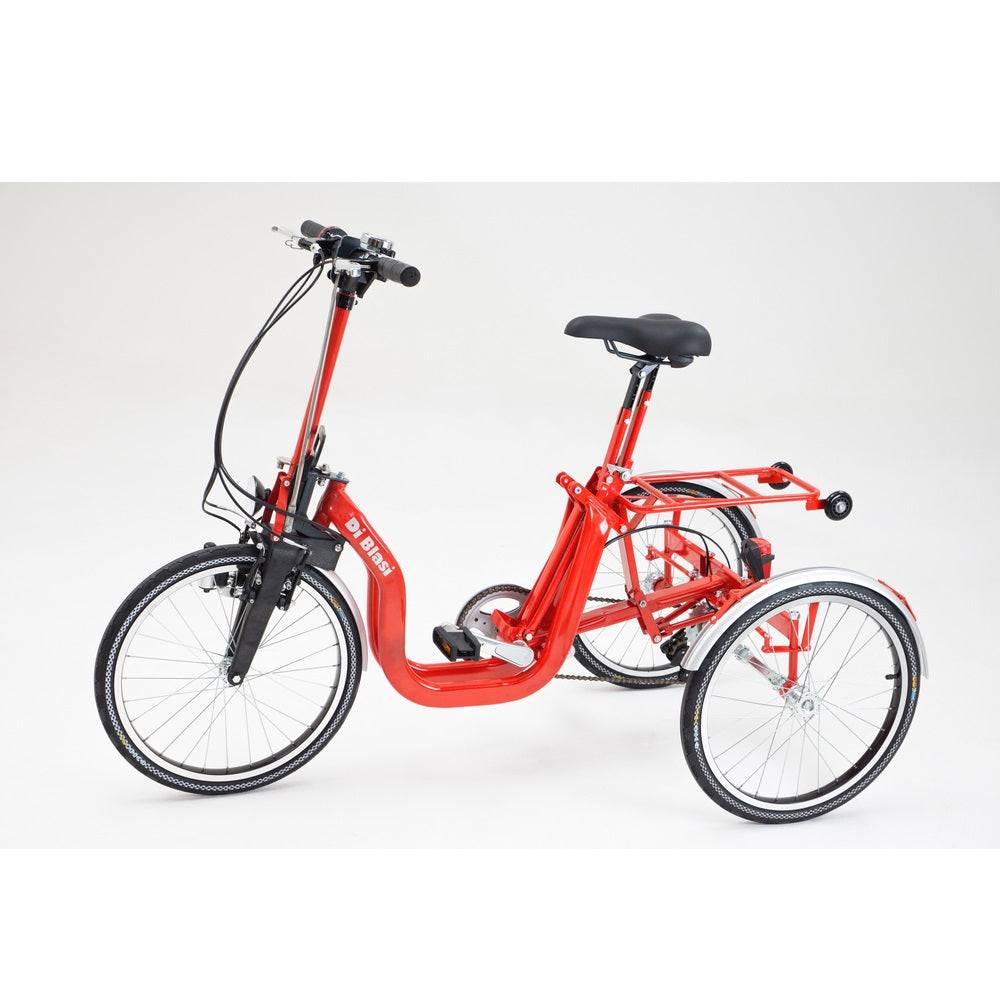 Di Blasi R34 250W Triciclo Eléctrico Plegable – Eko-Motion
